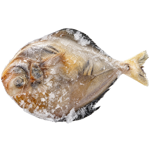 Frozen Unclean Black Pomfret 80–100g 黑昌