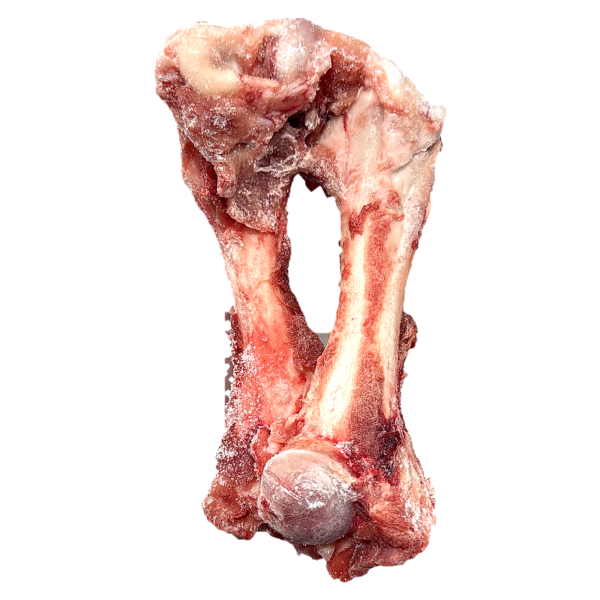 Pork Bone 猪骨