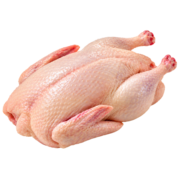 Fresh Duck 新鲜全鸭