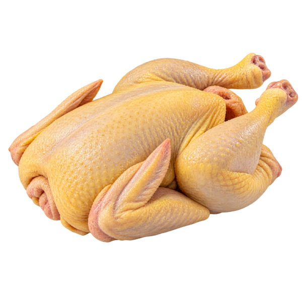 Halal Fresh Old Fowl 新鲜老母鸡