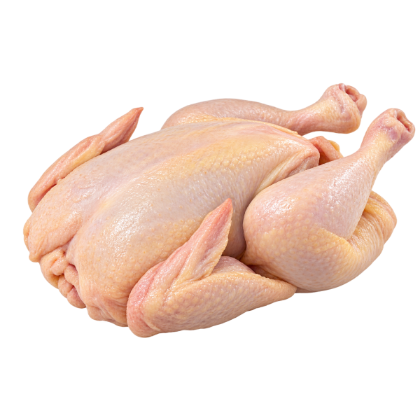 Halal Fresh Spring Chicken 新鲜童子鸡