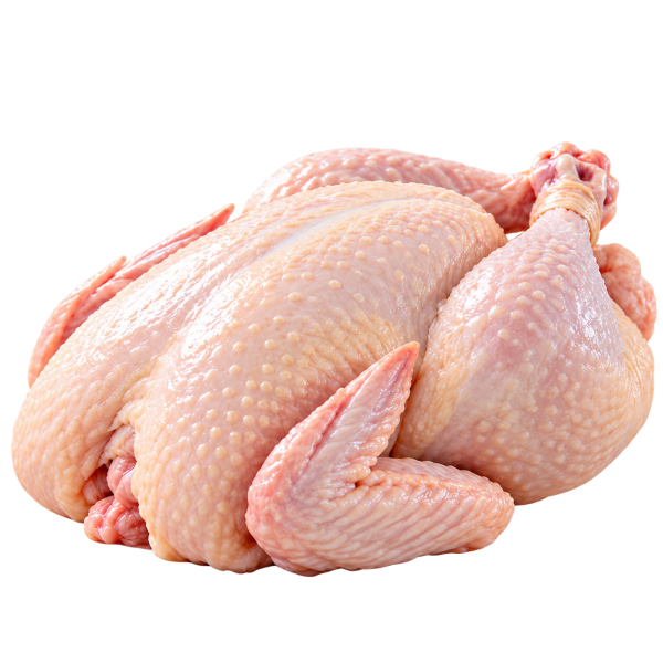 Halal Fresh Whole Chicken 新鲜全鸡