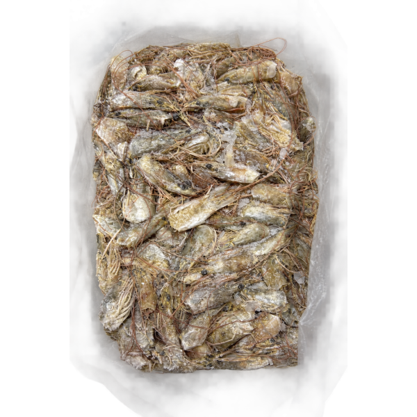 Prawn Shell 虾壳